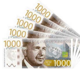 Anvisningar: Budget