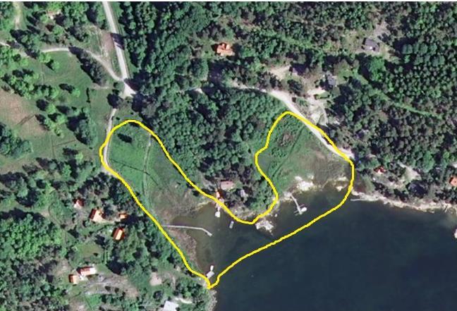 Område 7. Femöre Södersviken KARTA Beskrivning Mellan Femörehuvud och övriga Femöre ligger en instängd vik, där bottenmaterialet sedimenterat och vassar bildats.