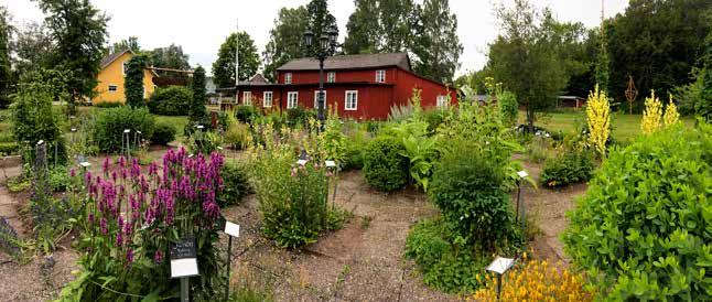 20 Dals Rostock en ort med hälsotraditioner Precis där jordbruksbygden möter Kroppefjälls vildmark ligger Dals Rostock.