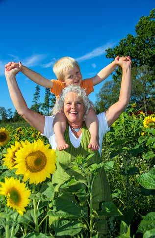Vad är på gång i sommar? 3 Wiehe och Afzelius. Dalsland Center, Håverud 18.30 Vandring. Dalskog - Ränsliden. Samling vid Stationshuset, Dals Rostock Kvitterkväll. Allsångsunderhållning.