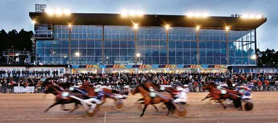 FLY THE WORLD 9 14,1 L 11,6 AK 12,9 AM 1 783 649 7,fux s. e Juliano Star - 17: 12 0-0-2 11,6a 102 700 16: 10 0-0-2 13,2a 43 500 Tot: 59 9-5-8 Night Mare E.