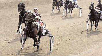 Hugo Åbergs Memorial - World Cup Trot avd. 2 (Gr. I Int.) Jägersro 30 juli. Lätt bana. 1.750.000 kr. 1609 m. Auto 1 Varenne* (I) 10,0 1.000.000 10 Minnucci Giampaolo 2 Intact Hornline* 10,3 400.