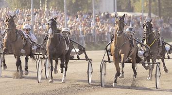 Revenue 10,7 143 Kolgjini Lutfi Presta Yankee* (D) 10,7 1155 Redl Martin Segrare: hingst 7 år e. Waikiki Beach-Ialmaz. Ägare: Scuderia Dany, Italien Uppfödare: Italiensk Uppfödare.