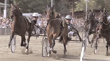 Grupplöpningar Gulddivisionen, final 1 (Grupp II, Int.) Solvalla 16 februari. Lätt bana. 590.000 kr. 2140 m. Auto 1 Etain Royal (F) 14,0 300.000 11 Johansson Stig H 2 Lass Zefyr 14,3 150.