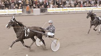 Petit Aubiose 14,7 263 Wallin Tony Mr Spender 15,2 388 Olsson Tony Scandal Play u 363 Frick Jim Poetic Image (US) u 315Bergh Robert Segrare: valack 10 år e. Ulf d'ombree-phenicienne.