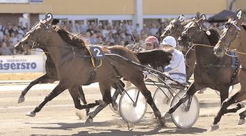 Peterson - Broddas Minneslöpning Gulddiv Final (Gr.II Int.) Jägersro 18 maj. Lätt bana. 590.000 kr. 1609 m. Auto 1 Com Hector 12,0 300.000 129 Frick Jim 2 Titan Ås 12,0 150.