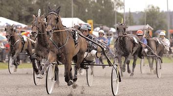 Diamond Circle* (D) 12,3 238 Juul Steen Someday Soon 12,3 343 Horpestad Tom Buckaroo K.