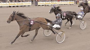 Exchequer* (F) 12,1 103 Kontio Jorma Sugarcane Volo* (N) 12,4 546 Tholfsen Hans Petter Titan Ås 12,5g 337 Kihlström Örjan Someday Soon 12,6 876 Horpestad Tom Caramba Kosmos* (US) 13,0 738 Jansson