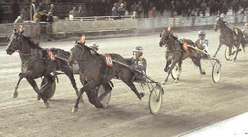 (US) 16,6 1310 Svanstedt Åke Catch the Booze 16,6 740 Adielsson Erik Fitness King 16,7 2133 Redén Daniel King Kosmos (US) 18,6 1522 Lindblom Carl-Erik Segrare: hingst 4 år e.