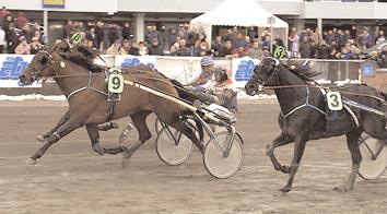 Grupplöpningar Derbystoet (Grupp II, Nat.) Jägersro 1 september. Lätt bana. 1.000.000 kr. 2140 m. Auto 1 Eli Sea 14,3 500.000 112 Pöllänen Rauno 2 Kiss Me Again 14,3 250.