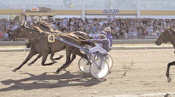 Mrs Moose 14,7 657 Jansson Torbjörn Chanson d'inverne 14,7 2011 Untersteiner Peter Donna Degato 14,8 211 Uhrberg Thomas Walniglia 14,8 754 Sjunnesson Jörgen Pine Dust 14,9 17 Kihlström Örjan Sugar