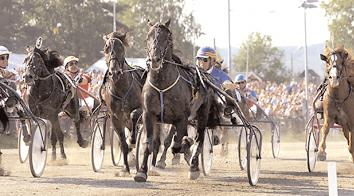 Tränare: Mossberg Lennart, Matfors Totalisatoromsättning: 990.325 kr. Odds: 11,21. Plats: 2,76-1,97-2,58. Sto - SM (Gr. II Nat.) Åby 19 oktober. Lätt bana. 745.000 kr. 2140 m.