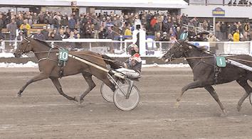 000 1269 Jansson Torbjörn 5Crowning Blonde 16,9 20.000 1048 Svensson Erik Opl.