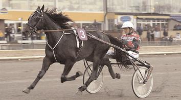 Vinstrikaste 2-åringar Vinstrikaste varmblod Luxury Ås tränad av Svante Båth är både rikast och segerrikast bland svenska 2-åringar. Lasse Lindberg i sulkyn.