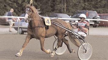 Vinstrikaste 4-åringar Vinstrikaste kallblod Qvadrigo (Lasse Lindberg) segerdefilerade hela elva gånger 2002 och blev med bertyggande marginal vinstrikast bland 4-åringarna.