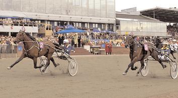 Breeze Brodde dm9g 2655 Rånlund Mats Segrare: hingst 4 år e. Super Arnie-Clorita Lobell. Ägare: Stall T.Z. & Lövis (Melander S). Uppfödare: Ohlsson Nils-Erik, Cecilia & Mats.