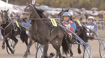 Snabbaste 3-åriga h/v Snabbaste kallblod Den 17 oktober på Bergsåker segrade Logårds Rigel (Peter Buhlér) på 1.29,3 och blev därmed snabbast i kullen.