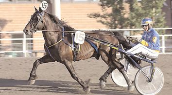 Snabbaste 5-åriga h/v Snabbaste kallblod Järvsö Harry är snabbast med voltstart och näst snabbast bakom bilen bland de svenska 5-åringarna. Jan-Olov Persson tränar.
