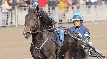 Snabbaste 5-åriga ston Snabbaste kallblod Solmarina från Årjäng och Mats Anderssons stall ses här med Linda Hedström i sulkyn. Svenskfödda Utlandsfödda Volt Solmarina B 16/52140 1.