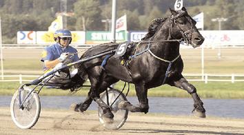 Snabbaste äldre h/v Snabbaste kallblod Järvsöfaks (Jan-Olov Persson) närmar sig den magiska 1.20-gränsen. I Elitkampen på Solvalla travade han 1.20,2. Svenskfödda Volt Järvsöfaks (8) B 18/7 1640 *1.