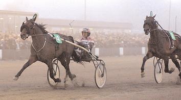 73 Cederin Peter Segrare: hingst 3 år e. Malabar Man-Eternal Circle. Ägare: Svante Båth AB & Avelsf. Hingstdepå AB. Uppfödare: Lorentzon Ann-Christin & Magnusson J-E.