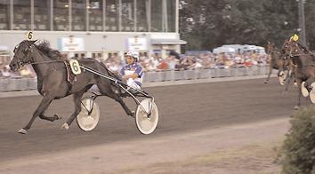 (I) 18,3 282 Takter Johnny Segrare: hingst 3 år e. Malabar Man-Eternal Circle. Ägare: Travtränare Svante Båth AB, Kovland. Uppfödare: Lorentzon Ann-Christin & Magnusson J-E.