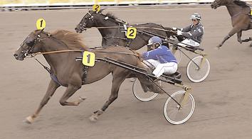 Freiherr As* (D) 13,3 38 Panschow Thomas Rantanas Crown 13,8 783 Friborg Kent Poetic Image (US) 14,0 311 Bergh Robert Seth Bowl u 92 Jansson Torbjörn Segrare: hingst 7 år e. Supergill-Dominant.