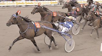 Jimas Bolero 13,3 2324 Stjernström Micael Sleipner* (DK) 13,4g 559 Friborg Kent Monalisa Bråten 13,9 369 Kihlström Örjan Segrare: hingst 5 år e. Diamond Way-Flashlight.