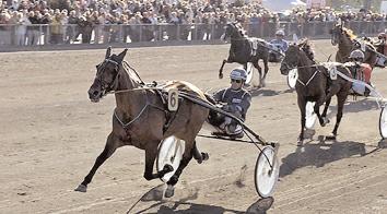Grupplöpningar Åby Stora Pris 2002 (Grupp I, Int.) Åby 22 september. Lätt bana. 1.750.000 kr. 2140 m. Auto 1 Victory Tilly 13,51.000.000 12 Johansson Stig H 2 Legendary Lover K.* (US) 13,7 400.