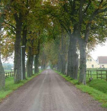 Markanvändning och hänsyn Håstad-Svenstorp Flyinge [M81] Motivering: Vidsträckt slottslandskap och odlingslandskap kring Kävlingeån med förhistorisk bruknings- och bosättningskontinuitet som sedan