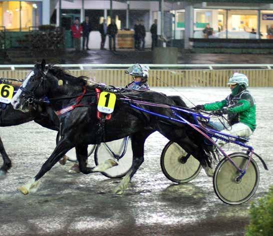 JÄMTLANDS STORA PRIS KALLBLODENS DERBYBANA