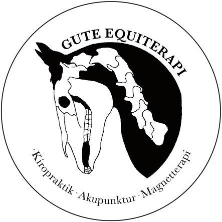 UTLOTTNING Idag 13/10 så lottar Johanna Modigh ut två Equiterapi-behandlingar. (Bestående av kiropraktik, magnetterapi, akupunktur, massage.) En lott per tränare per kategori.