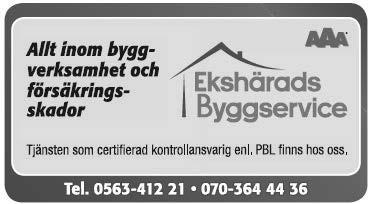 I år har vi Farifant och Infinitif på stuteriet.