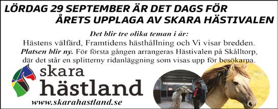 Start : Bankod 08 b ODDS TVILLING Välkomna till Skara Hästivalen 9 september -åriga och äldre 0.00-95.000 kr. 0 m. Autostart. 5 startande. PLATS Pris: 5.000-.500-8.000-5.00-.00-.00- (.00)-(.00) kr.