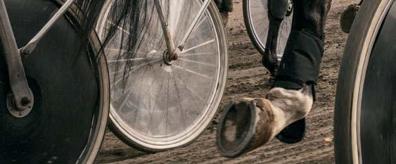 Information om bankod för spel, starttid för loppet samt om startbil används. Hästens namn och eventuellt födelseland. Stjärna anger att hästen är registrerad i utlandet.