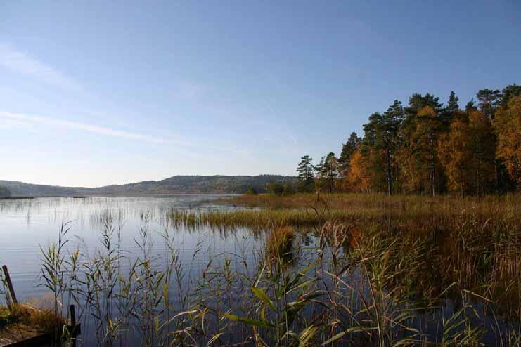 MEDDELANDE NR 2005:46 Mål 2 Södra Strandnära boende i Aneby kommun Strändernas