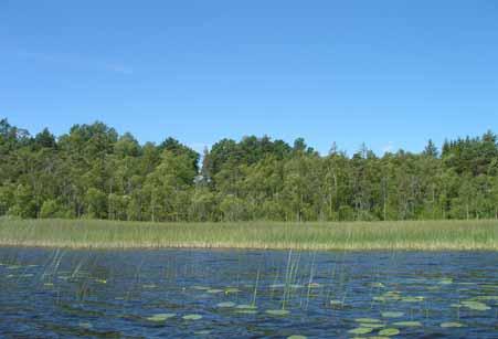 Bild 7. Vattenvegetation i Söljen. Foto: Maria Carlsson Omgivning Skärsjösjöns omgivning (30-100 m) domineras av öppen mark (31,4 %) och barrskog (17,3 %) (Tabell 3).
