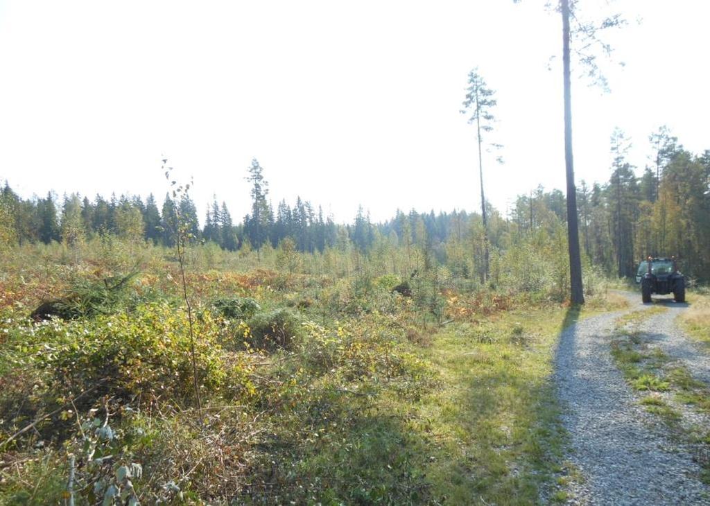 Naturgeografi En naturgeografisk region är ett område med enhetliga naturgivna förutsättningar (terräng och klimat), vilket åtminstone i den större skalan ger en likvärdig natur.