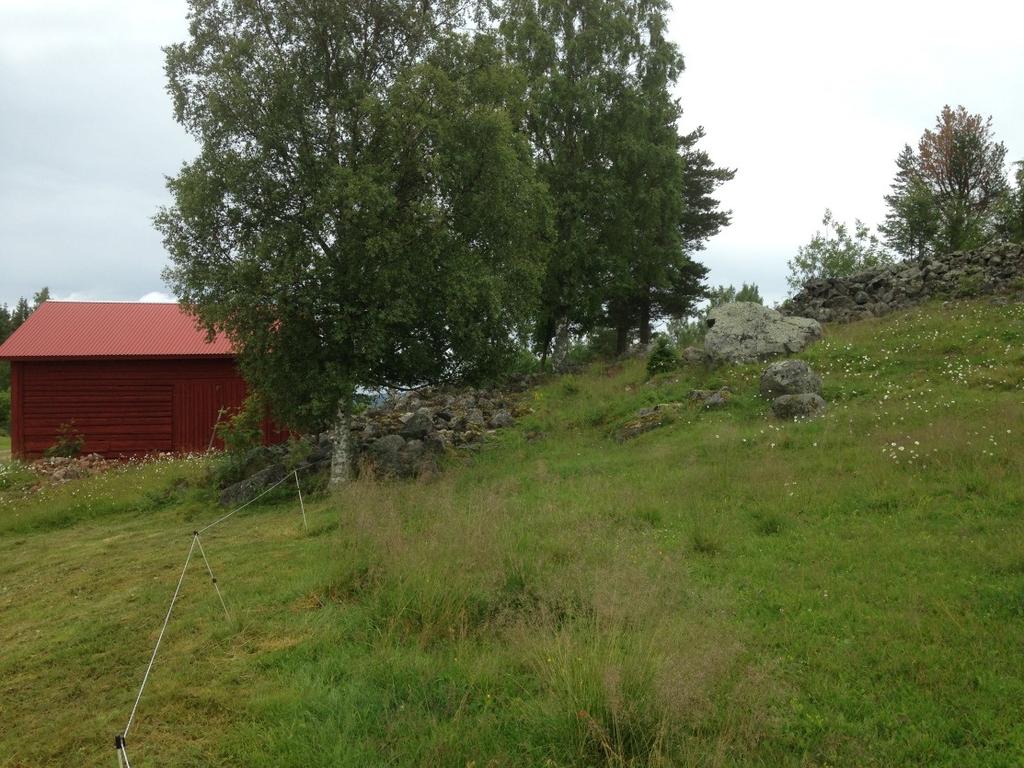 Värdefull