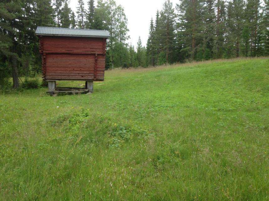 hävdgynnad flora,.