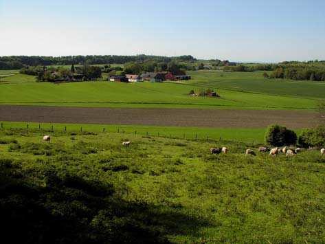 7.4 Romeleåsen (7.4.7) 5 Skoghuslunden (3) Area: 9,9 ha Fastighet: Dörröd 20:1, Veberöd 31:1 Naturtyp: Lövblandskog (7.4.7) 7 Tostorp (3) Area: 7,3 ha Fastighet: Tostorp 1:1 Naturtyp: Bokskog Området består av varierad lövblandskog på inägomark.