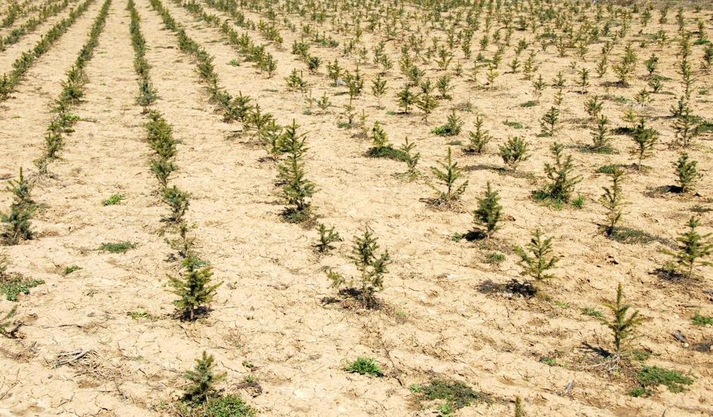 2.3.3 Livsmedelsförsörjning En av de allvarligare konsekvenserna av det förändrade klimatet, som anges i IPCC:s (FN:s klimatpanel: International Panel Climate Congress) andra rapport är global
