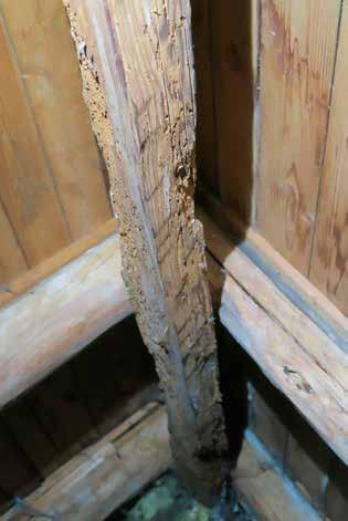 Taklagen över långhus och kor har fått sitt nuvarande utseende till följd av införandet av trävalv i kyrkorummet på 1700-talet : takstolar med två hanbjälkar och knäbock.