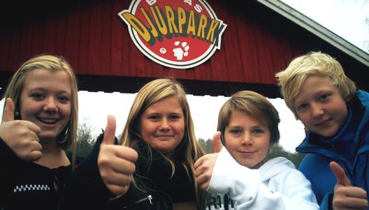 slutsatser. FRÅGORNA finns i TVÅ olika nivåer. Du som lärare väljer ut frågor som passar dina elever. Frågorna är kopplade till centralt innehåll i Lgr 11.