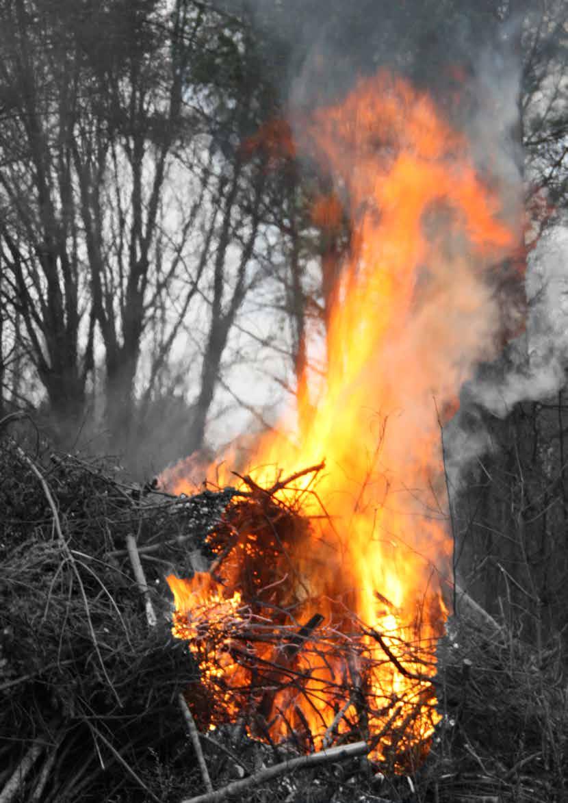 Nummer 2 2018 VALBORG I BRICKEBACKEN 30 april OBS!