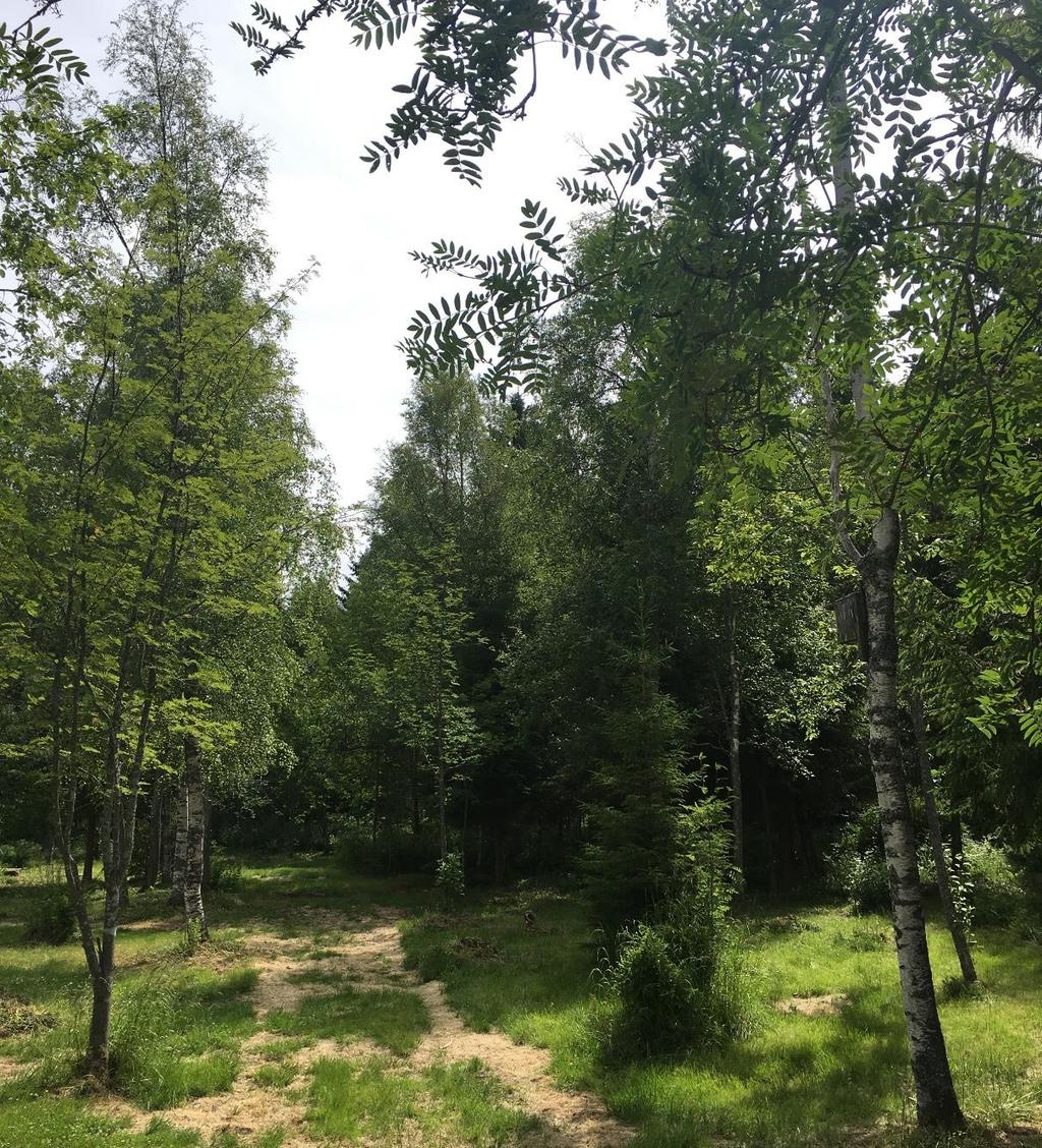2018-08-20 2018-405-214 7 (17) TIDIGARE BESLUT Riksintressen Planområdet berörs inte av några riksintressen.