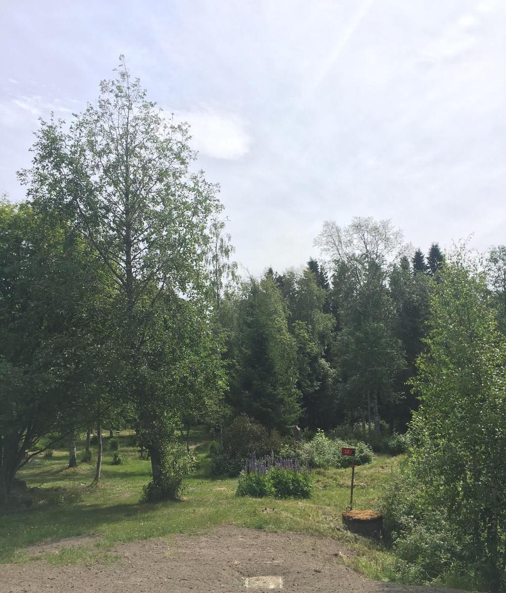2018-08-20 2018-405-214 9 (17) FÖRUTSÄTTNINGAR, FÖRÄNDRINGAR OCH KONSEKVENSER Mark- och vattenområden Mark- och terrängförhållanden Planområdet ligger inom ett område med sammanhållen bebyggelse