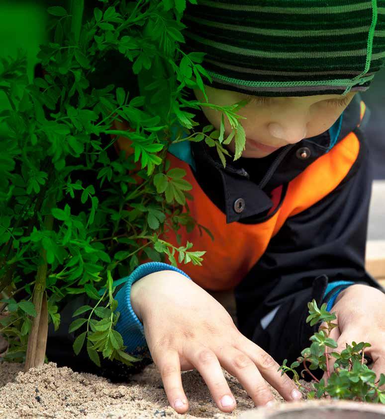 BiodiverCity Förlusten av biologisk mångfald är utpekad som ett av de största hoten mot planetens möjlighet att utgöra en god livsmiljö för mänskligheten Utveckla produkter, tjänster och processer