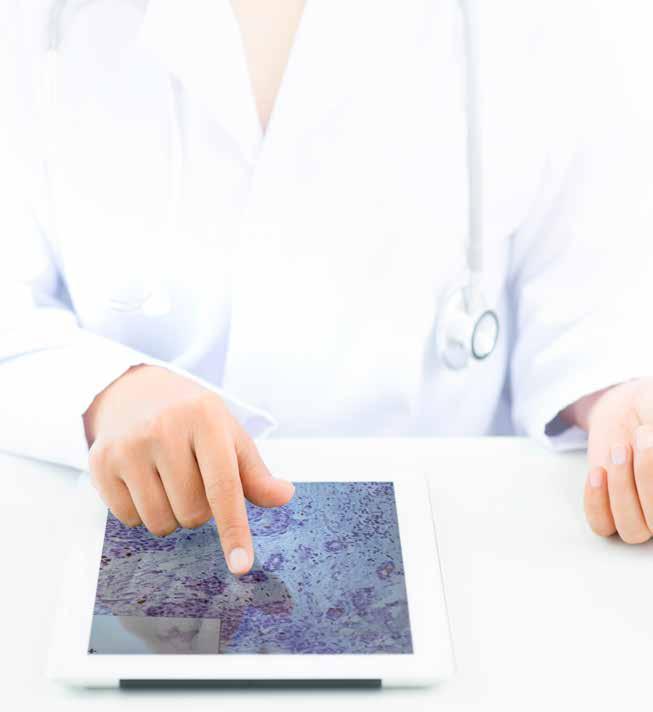 patientsäkerhet genom rätt diagnos i god tid Med nya IT-verktyg för digitala bilder kan arbetet effektiviseras vilket ger kortare vårdköer och höjd vårdkvalitet Landsting, sjukhus, laboratorier,