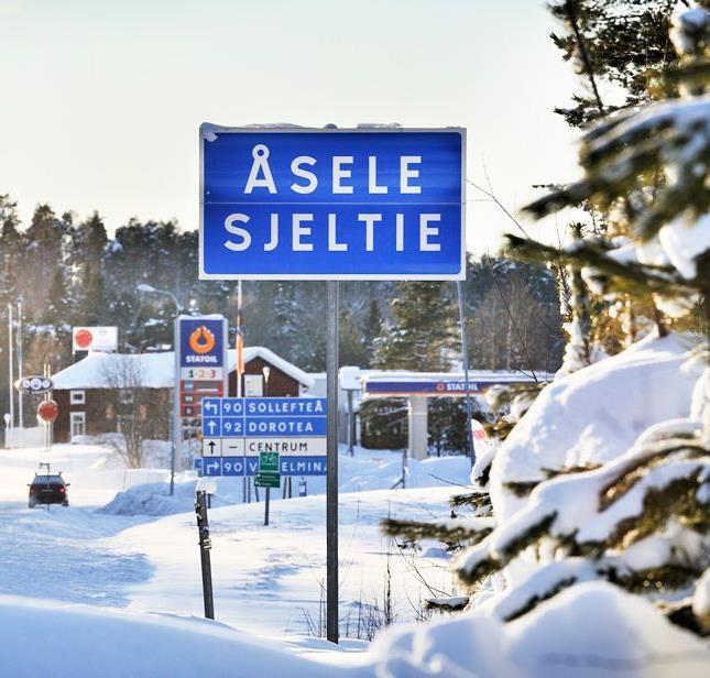 20 år av